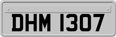 DHM1307