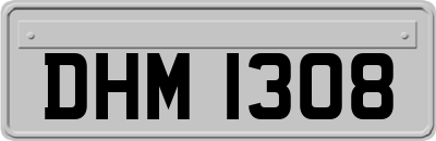 DHM1308