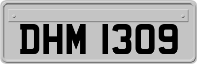 DHM1309