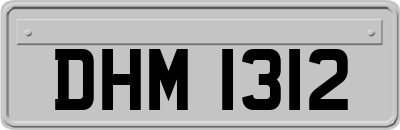 DHM1312