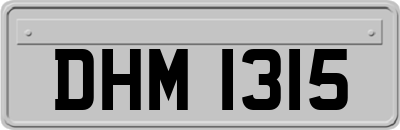 DHM1315