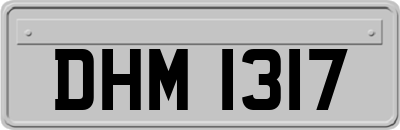 DHM1317