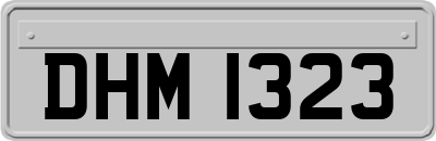 DHM1323