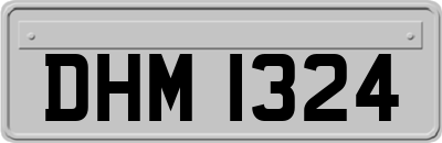 DHM1324
