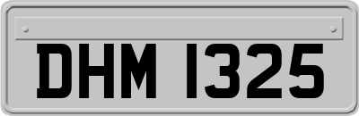DHM1325