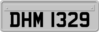 DHM1329