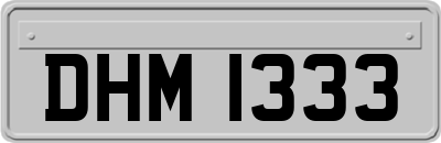 DHM1333