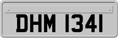 DHM1341