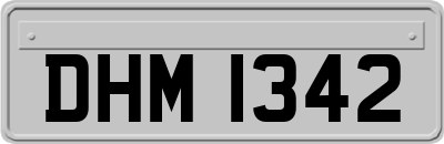 DHM1342