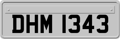DHM1343