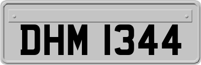 DHM1344