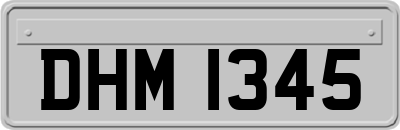 DHM1345
