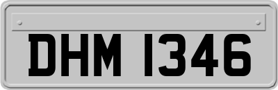 DHM1346