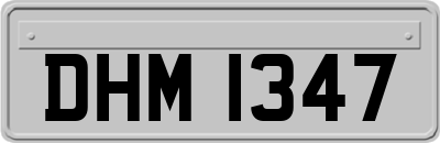 DHM1347