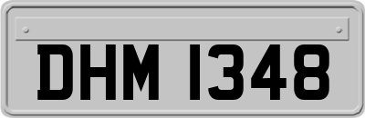DHM1348