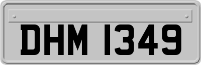 DHM1349