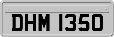 DHM1350