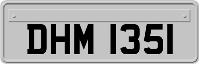 DHM1351