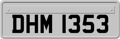 DHM1353