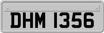 DHM1356