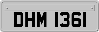 DHM1361