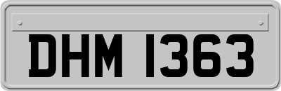 DHM1363