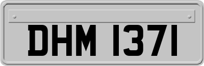DHM1371
