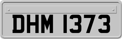 DHM1373