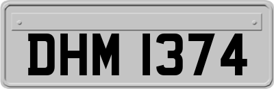 DHM1374