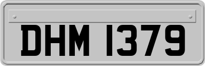 DHM1379