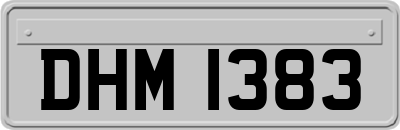 DHM1383