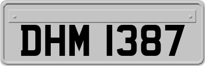 DHM1387