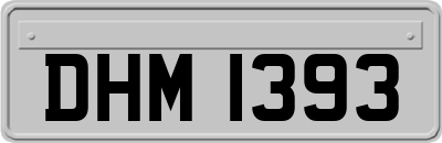 DHM1393