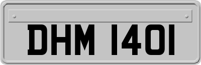 DHM1401