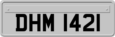 DHM1421