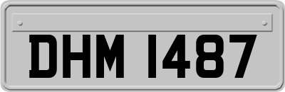 DHM1487