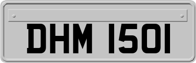 DHM1501