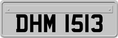 DHM1513