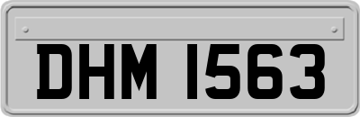 DHM1563