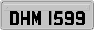 DHM1599