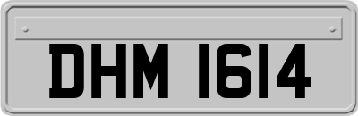 DHM1614