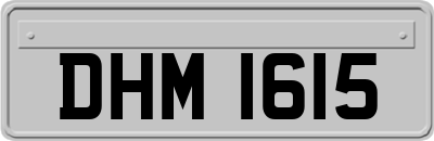 DHM1615