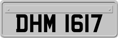 DHM1617