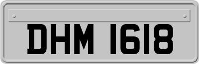 DHM1618
