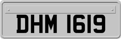 DHM1619