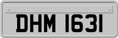 DHM1631