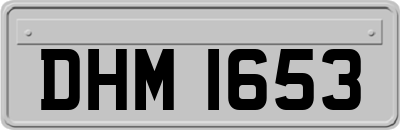 DHM1653