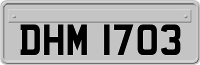 DHM1703