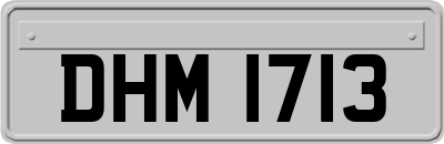 DHM1713
