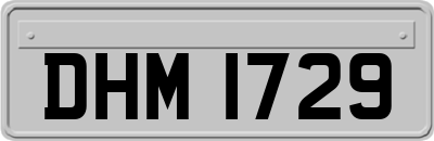 DHM1729